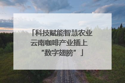 科技赋能智慧农业 云南咖啡产业插上“数字翅膀”