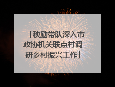 秧励带队深入市政协机关联点村调研乡村振兴工作