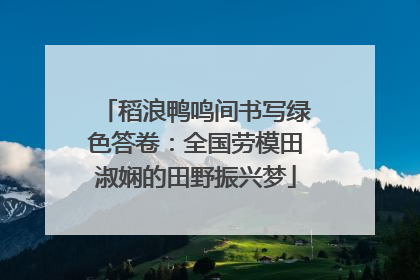 稻浪鸭鸣间书写绿色答卷：全国劳模田淑娴的田野振兴梦