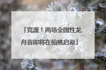 竞渡！两场全国性龙舟赛即将在仙桃启幕