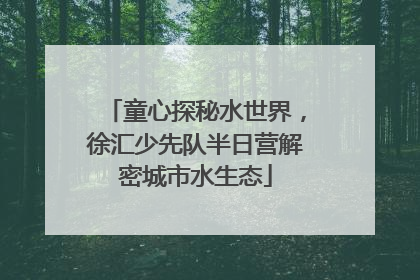 童心探秘水世界，徐汇少先队半日营解密城市水生态