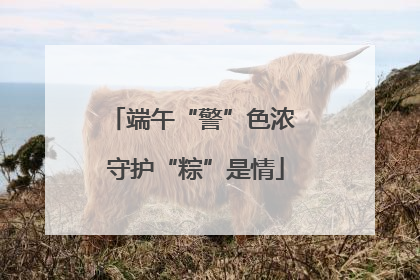 端午“警”色浓 守护“粽”是情