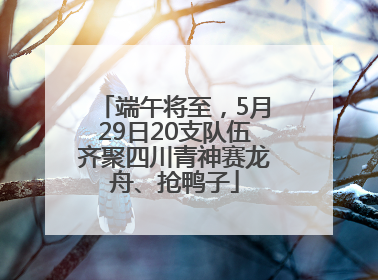 端午将至，5月29日20支队伍齐聚四川青神赛龙舟、抢鸭子