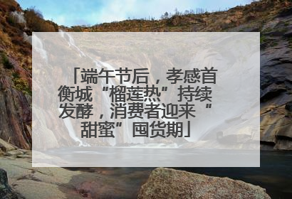端午节后，孝感首衡城“榴莲热”持续发酵，消费者迎来“甜蜜”囤货期