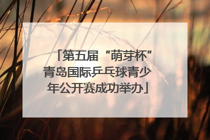 第五届“萌芽杯”青岛国际乒乓球青少年公开赛成功举办