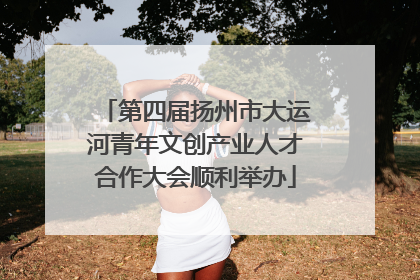 第四届扬州市大运河青年文创产业人才合作大会顺利举办