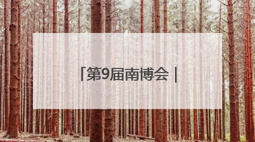 第9届南博会｜抚仙湖畔旅居热 云南生活新样本