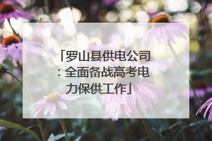 罗山县供电公司：全面备战高考电力保供工作