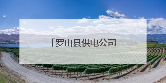 罗山县供电公司：开展庆祝端午佳节文化活动