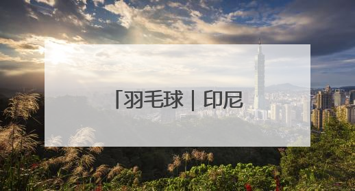 羽毛球｜印尼公开赛：王正行男单首轮晋级