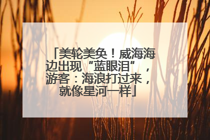 美轮美奂！威海海边出现“蓝眼泪”，游客：海浪打过来，就像星河一样