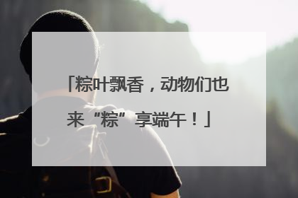 粽叶飘香，动物们也来“粽”享端午！