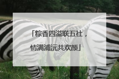 粽香四溢联五社，情满浦沅共欢颜