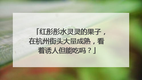 红彤彤水灵灵的果子，在杭州街头大量成熟，看着诱人但能吃吗？