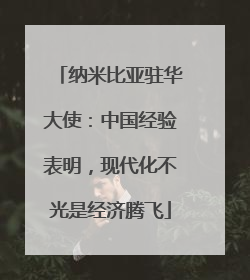 纳米比亚驻华大使：中国经验表明，现代化不光是经济腾飞