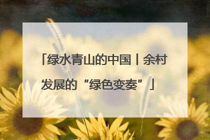 绿水青山的中国丨余村发展的“绿色变奏”