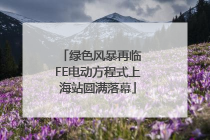 绿色风暴再临 FE电动方程式上海站圆满落幕