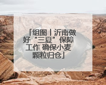组图丨沂南做好“三夏”保障工作 确保小麦颗粒归仓