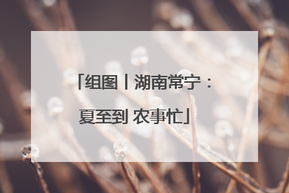 组图丨湖南常宁：夏至到 农事忙