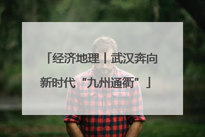 经济地理丨武汉奔向新时代“九州通衢”
