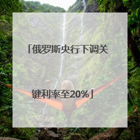 俄罗斯央行下调关键利率至20%