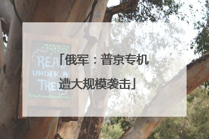俄军：普京专机遭大规模袭击