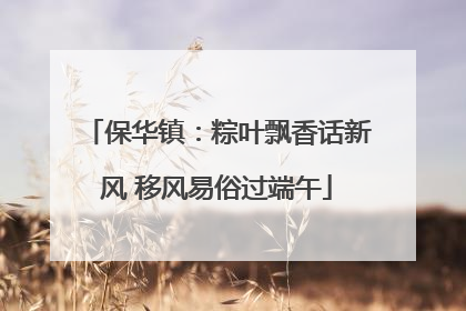 保华镇：粽叶飘香话新风 移风易俗过端午