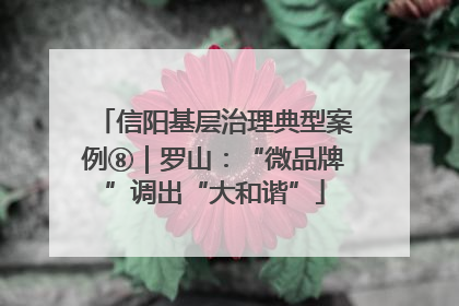 信阳基层治理典型案例⑧｜罗山：“微品牌”调出“大和谐”