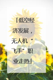 低空经济发展，无人机“飞手”职业走热