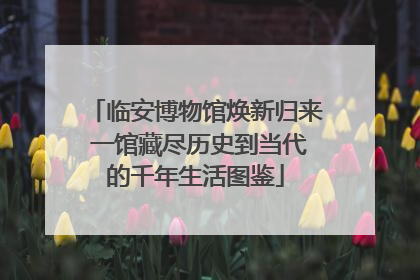 临安博物馆焕新归来 一馆藏尽历史到当代的千年生活图鉴