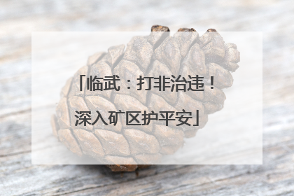 临武：打非治违！深入矿区护平安