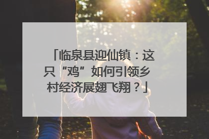 临泉县迎仙镇：这只“鸡”如何引领乡村经济展翅飞翔？