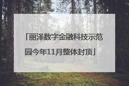 丽泽数字金融科技示范园今年11月整体封顶