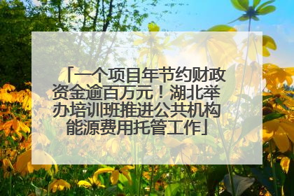 一个项目年节约财政资金逾百万元！湖北举办培训班推进公共机构能源费用托管工作