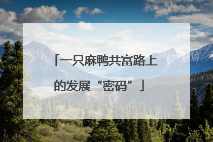 一只麻鸭共富路上的发展“密码”