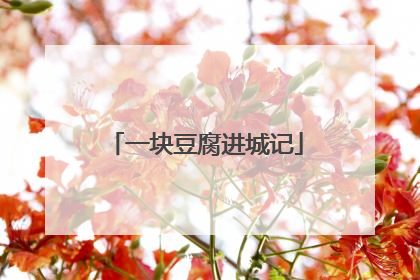 一块豆腐进城记