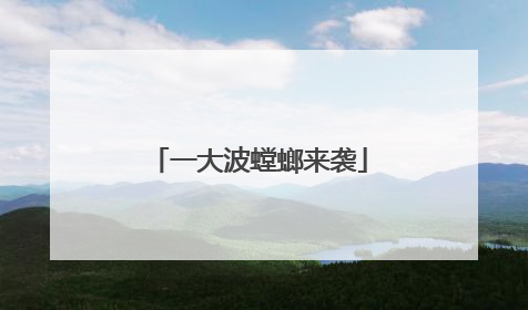 一大波螳螂来袭