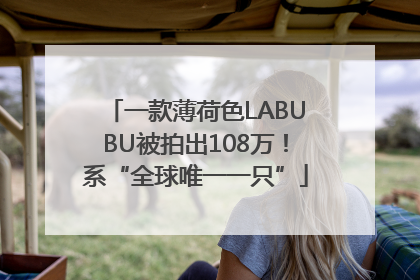 一款薄荷色LABUBU被拍出108万！系“全球唯一一只”