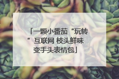 一颗小番茄“玩转”互联网 枝头鲜味变手头表情包