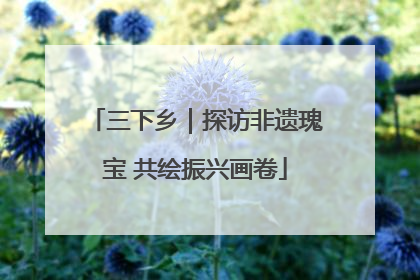 三下乡｜探访非遗瑰宝 共绘振兴画卷
