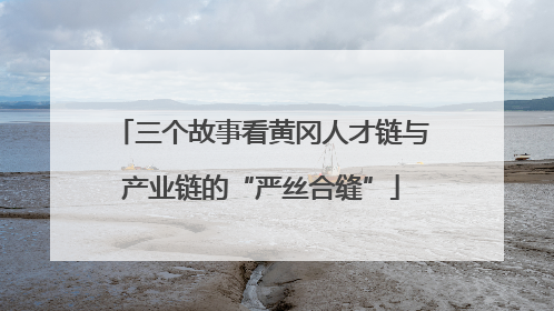 三个故事看黄冈人才链与产业链的“严丝合缝”