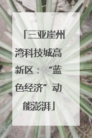 三亚崖州湾科技城高新区：“蓝色经济”动能澎湃