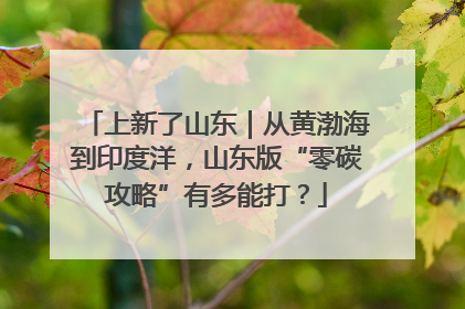 上新了山东｜从黄渤海到印度洋，山东版“零碳攻略”有多能打？