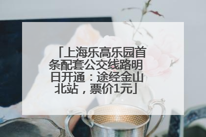 上海乐高乐园首条配套公交线路明日开通：途经金山北站，票价1元