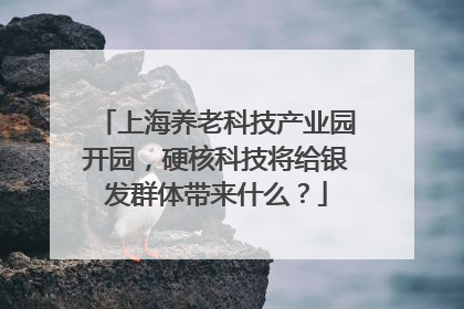 上海养老科技产业园开园，硬核科技将给银发群体带来什么？