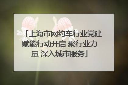 上海市网约车行业党建赋能行动开启 聚行业力量 深入城市服务