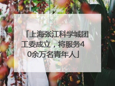 上海张江科学城团工委成立，将服务40余万名青年人