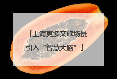 上海更多文旅场景引入“智慧大脑”