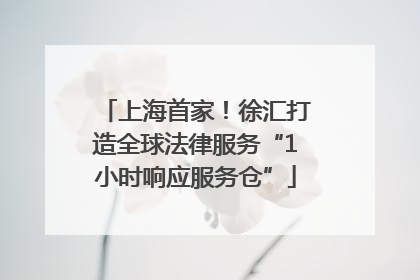 上海首家！徐汇打造全球法律服务“1小时响应服务仓”