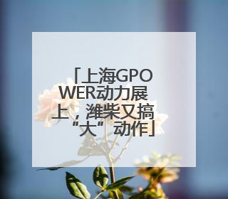 上海GPOWER动力展上，潍柴又搞“大”动作